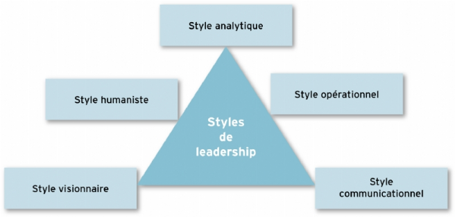 Source : d'après Frédéric Leroy, Bernard Garrette, Pierre Dussauge, Rodolphe Durand, Laurence Lehmann-Ortega,, dir., Strategor, Dunod, 6e édition, 2013.