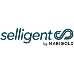 Hub '' - SELLIGENT 